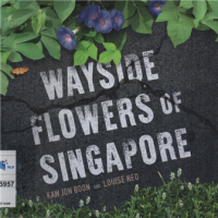 Wayside flowers Singapore