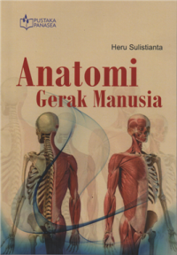 Anatomi geral manusia