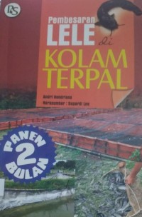 Image of Pembesaran Lele di Kolam Terpal