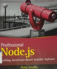 Image of Professional node.js