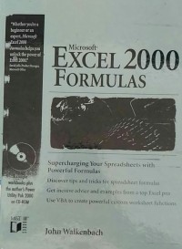 Image of Microsoft excel 2000 formulas